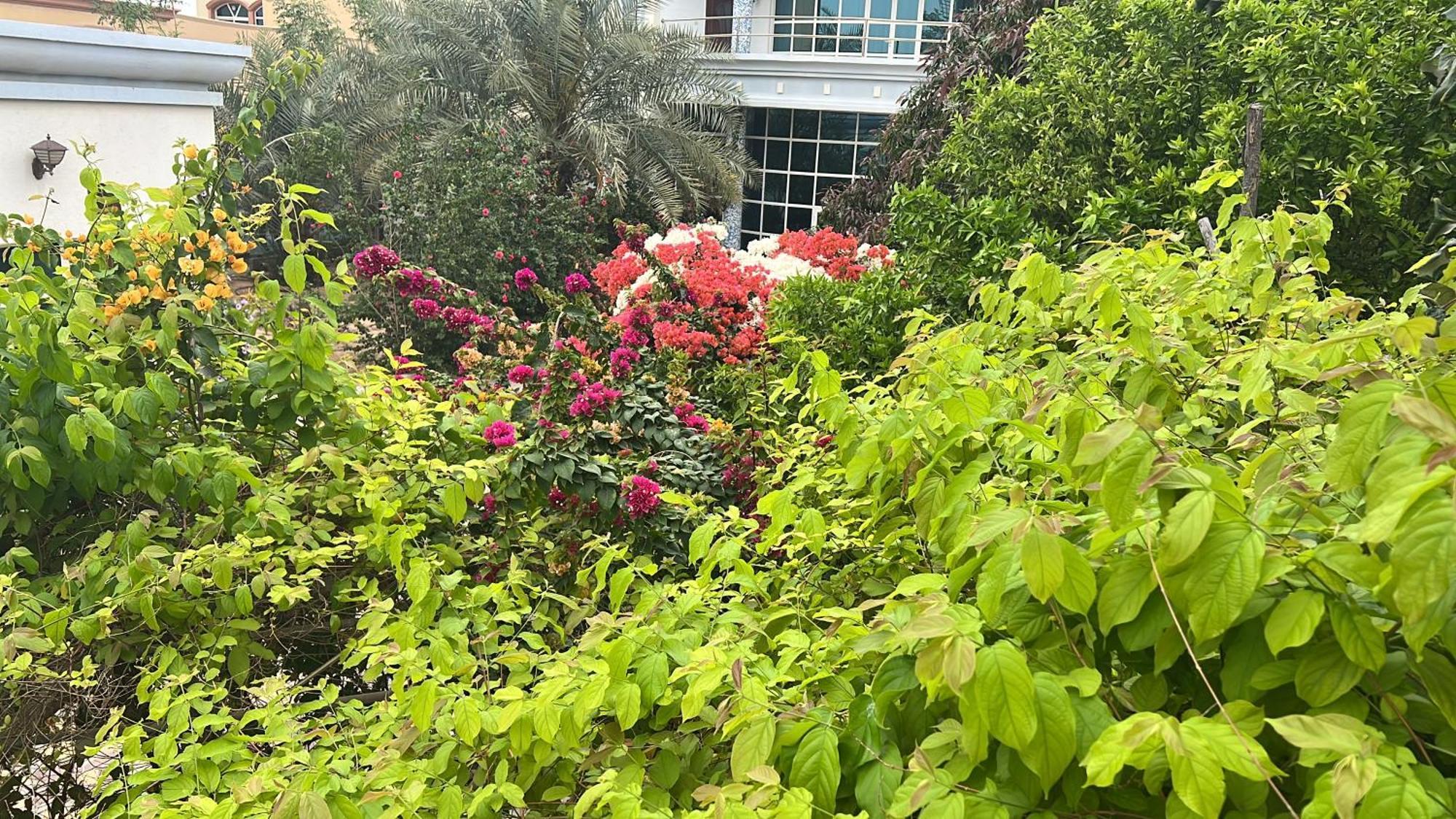 Alhosani Property Abu Dhabi Luaran gambar