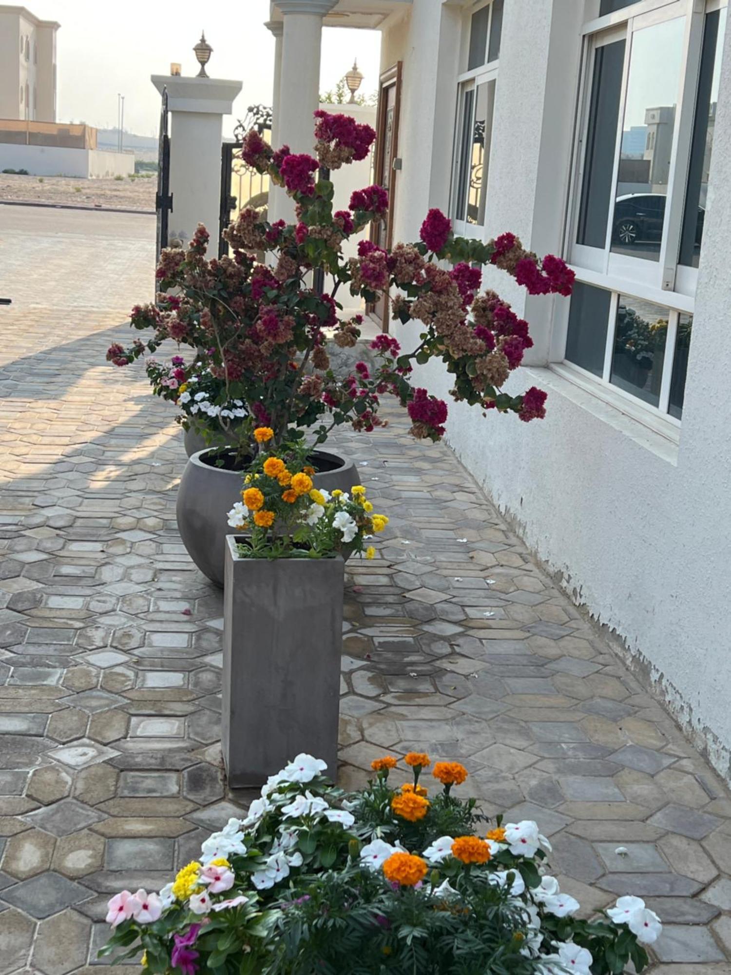 Alhosani Property Abu Dhabi Luaran gambar
