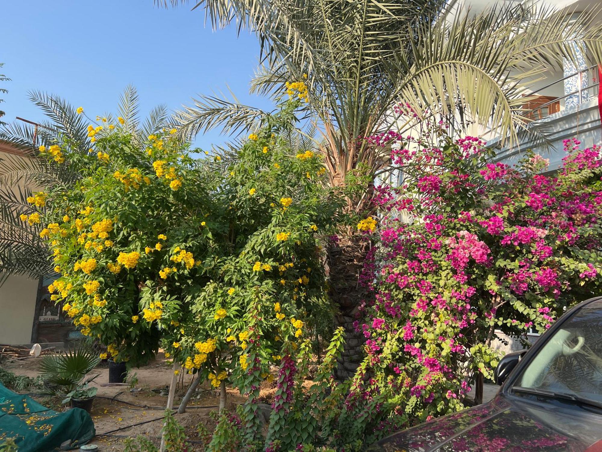 Alhosani Property Abu Dhabi Luaran gambar